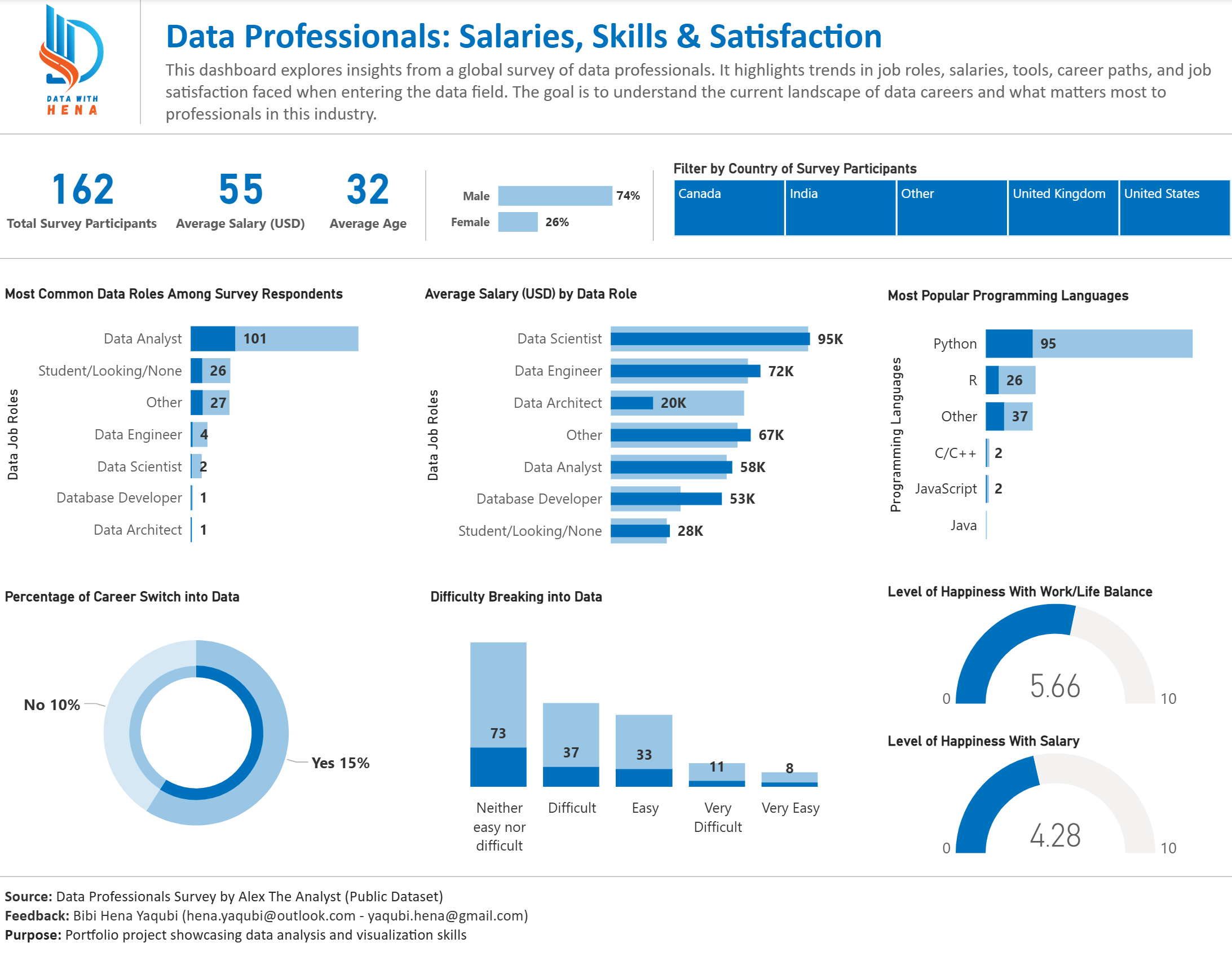 Data Professionals Survey Dashboard - View 6